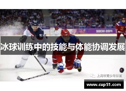 冰球训练中的技能与体能协调发展