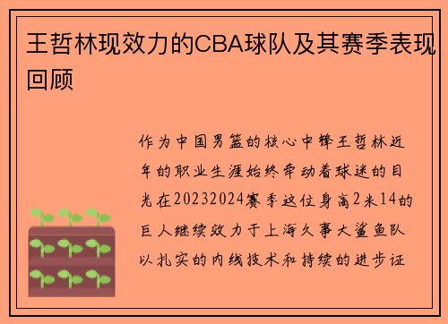 王哲林现效力的CBA球队及其赛季表现回顾